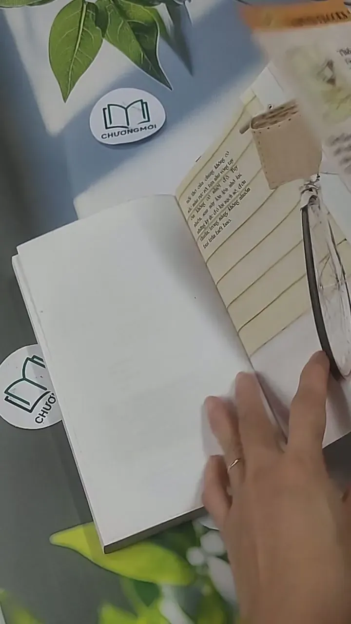 Sorry Sorry - Kim Quốc Đống 705548