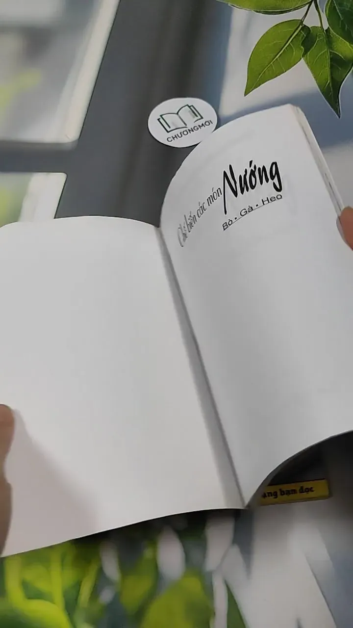 Combo Ẩm Thực: Món Ngon, Bánh Rán, Các Món Nướng 727320