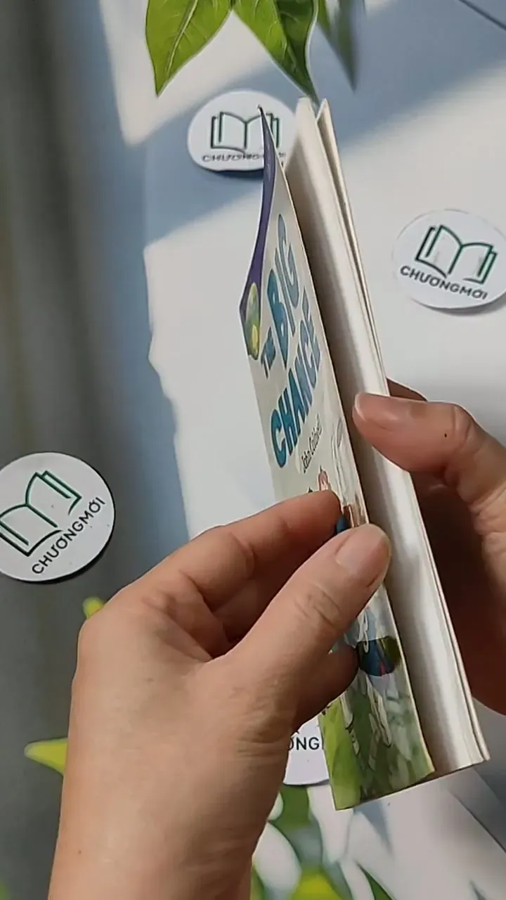 Oxford Reading Tree - Stage 11: TreeTops More Stories A: The Big Chance 703070