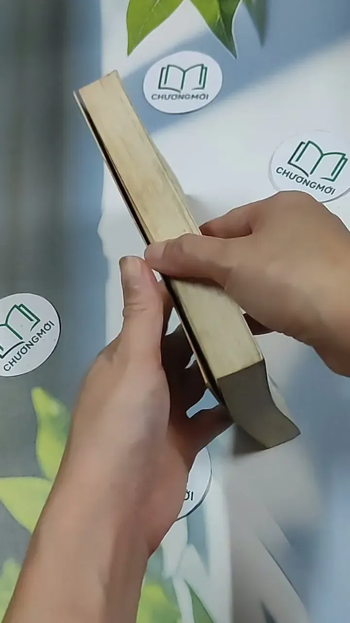 Việt Bắc - Tác phẩm và dư luận - Tố Hữu 698620