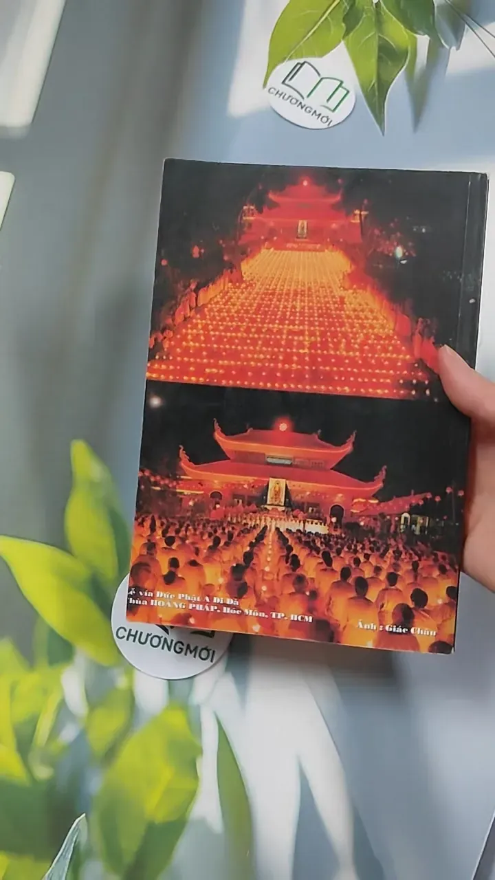 Kinh Nghiệm Niệm Phật Và Những Chuyện Luân Hồi - Cư Sĩ Diệu Âm - Diệu Ngộ 776139