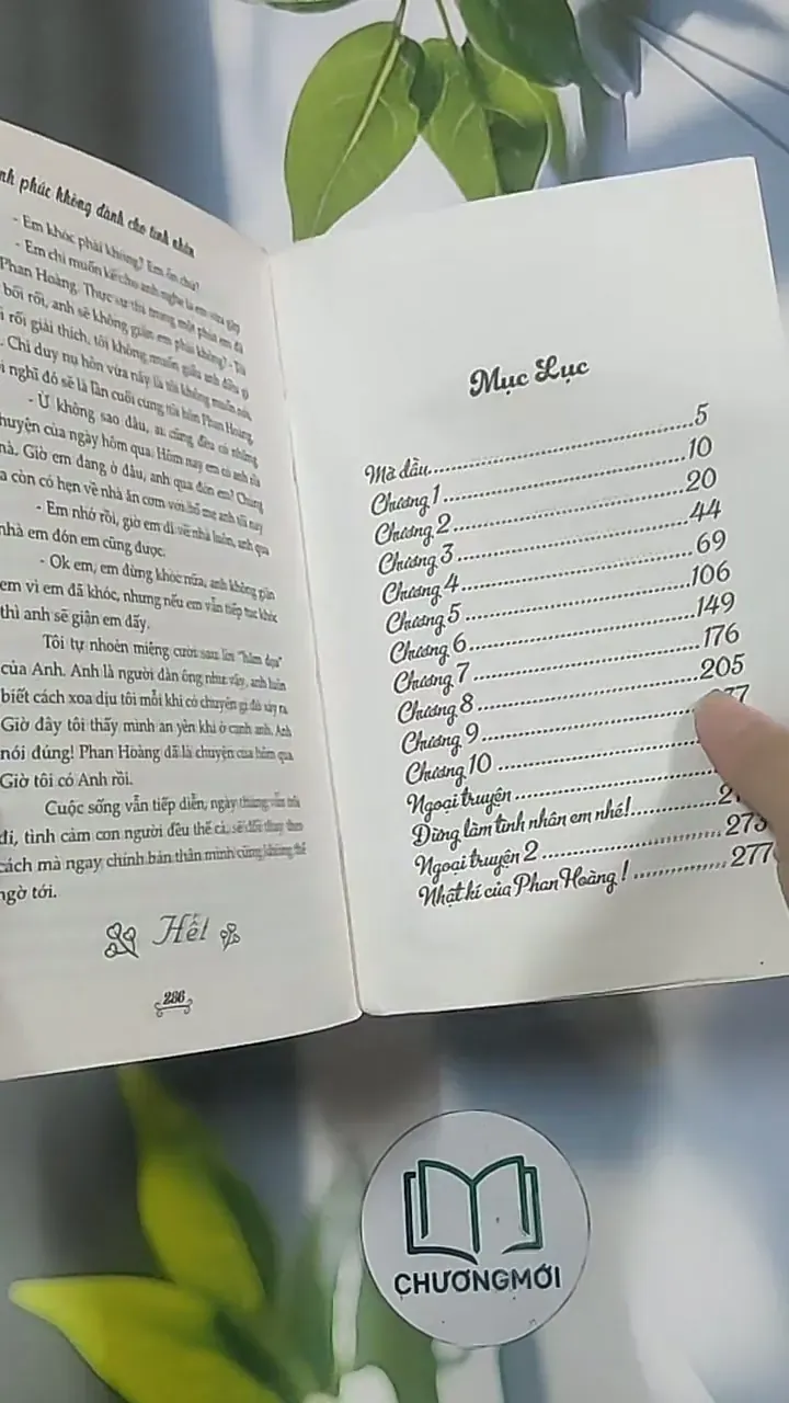 Hạnh phúc không dành cho tình nhân - Mèo Xù 694951