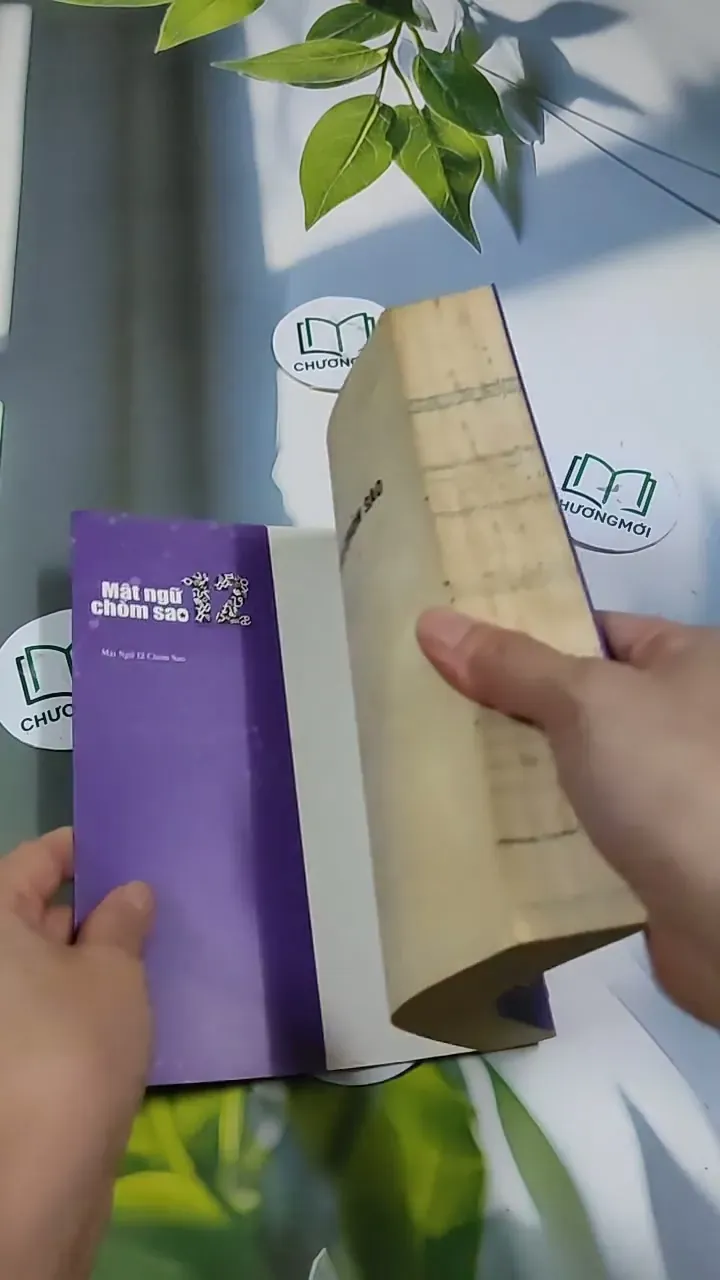 Mặt Ngữ 12 Chòm Sao - Mật Ngữ Tình Yêu 705675