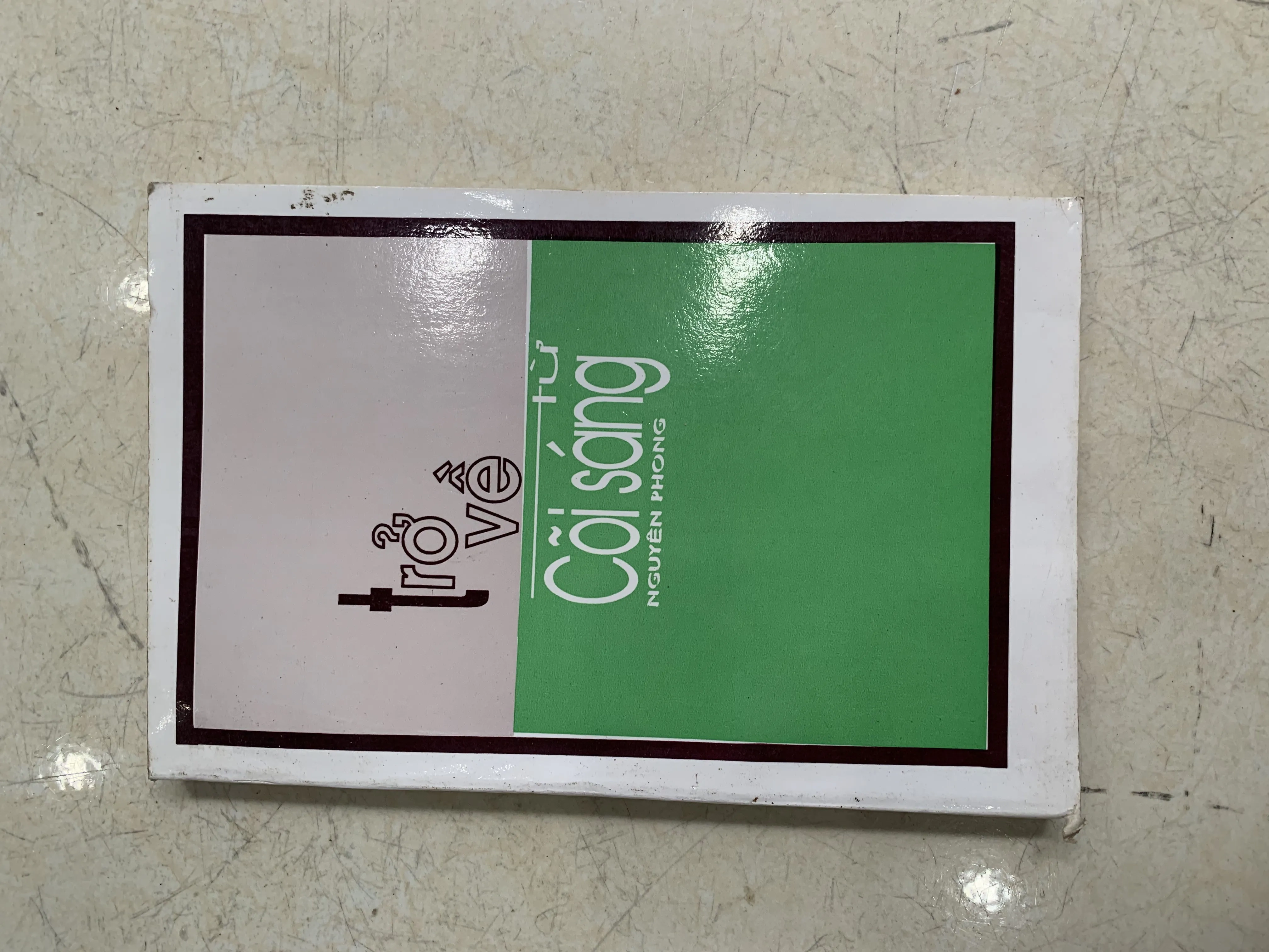 Trở về cõi sáng - Nguyên Phong 🐟 by  - Sách Book Cover - Ngọc Hiển Books