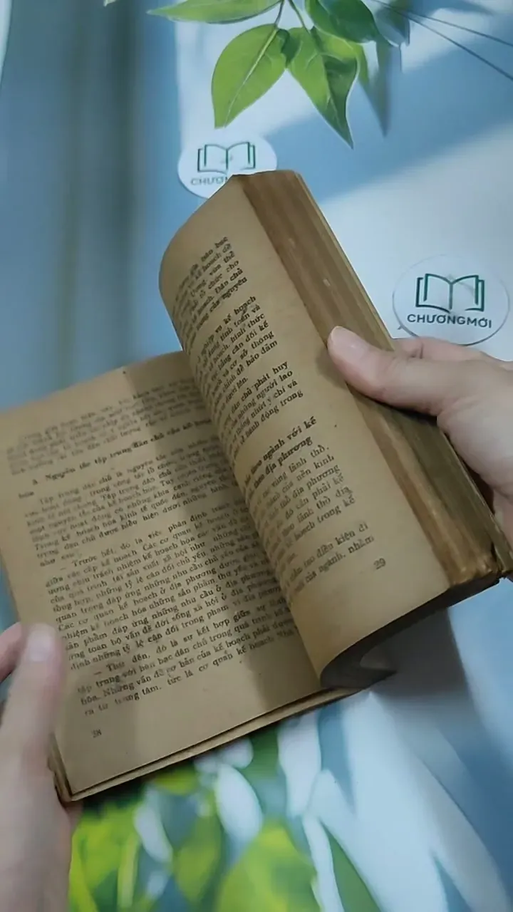 Kế Hoạch Hóa Kinh Tế Quốc Dân - Du Lô Giang 713884