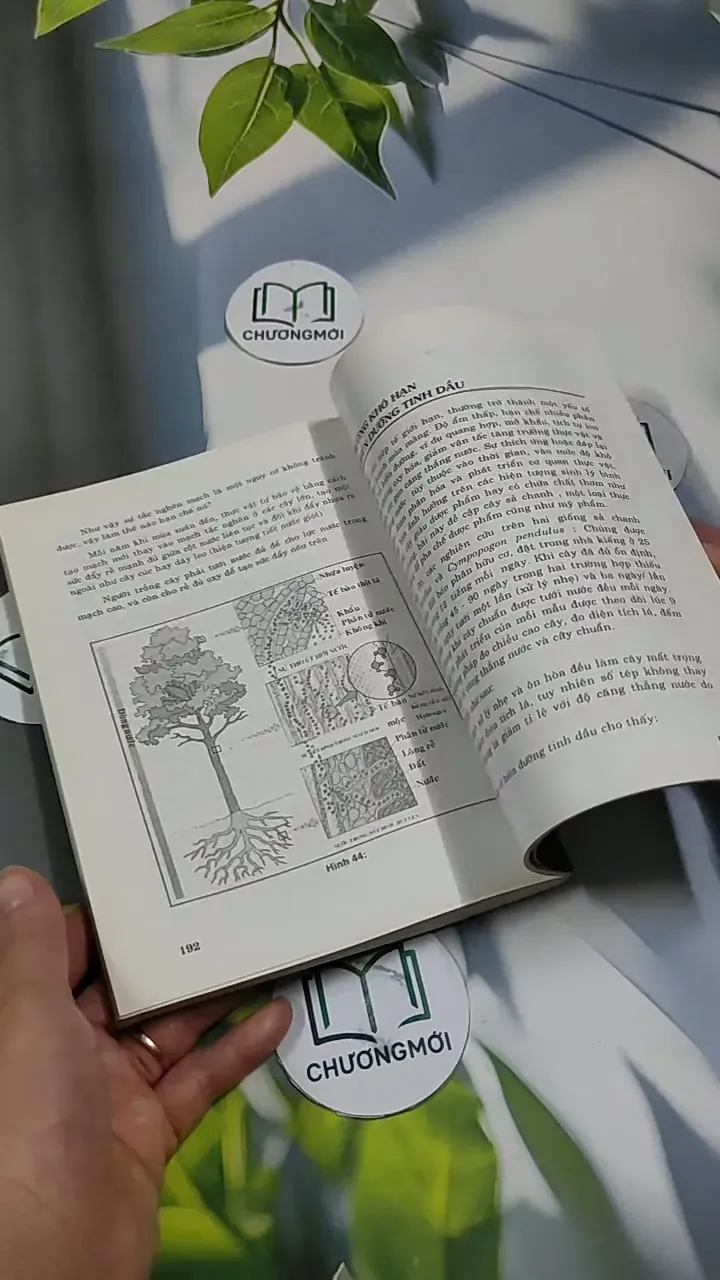 Những Hiện Tượng Kỳ Thú Trong Đời Sống Cây Cảnh - Mai Trần Ngọc Tiếng 707328