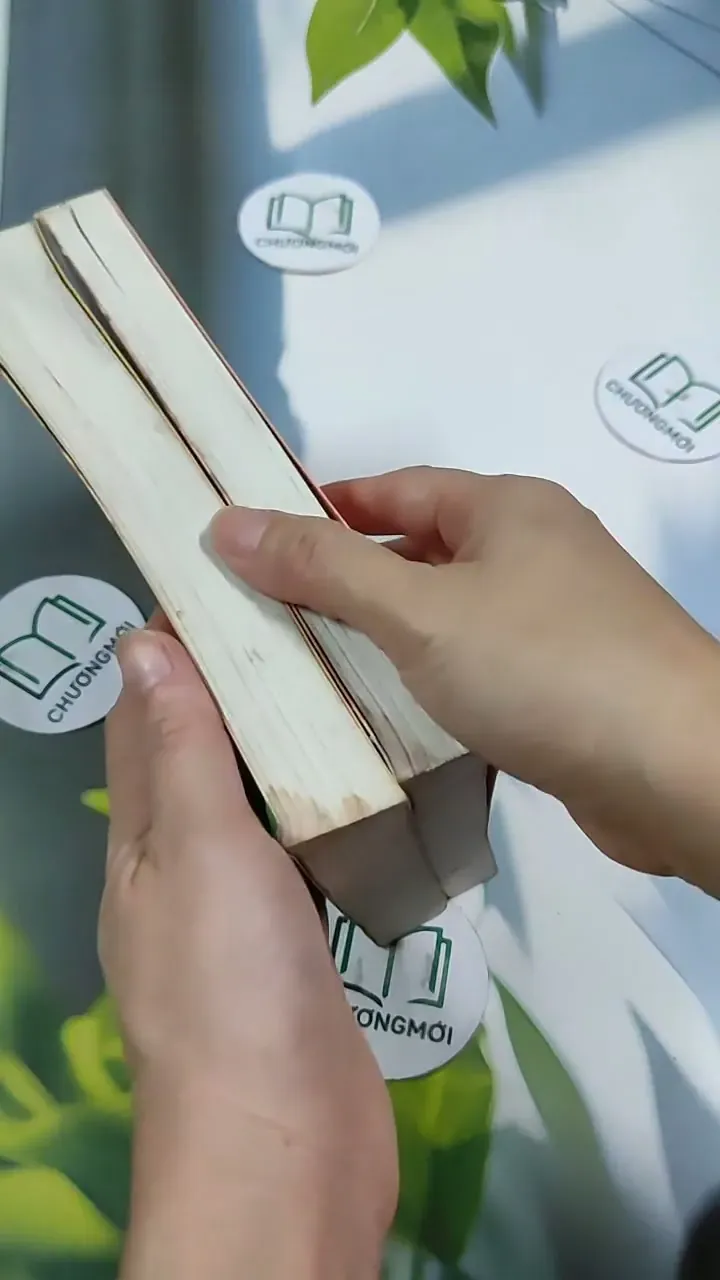 [MIỄN PHÍ BỌC SÁCH] Trọn bộ Phi Trường (tập 1 + 2) - Arthur Hailey 705781