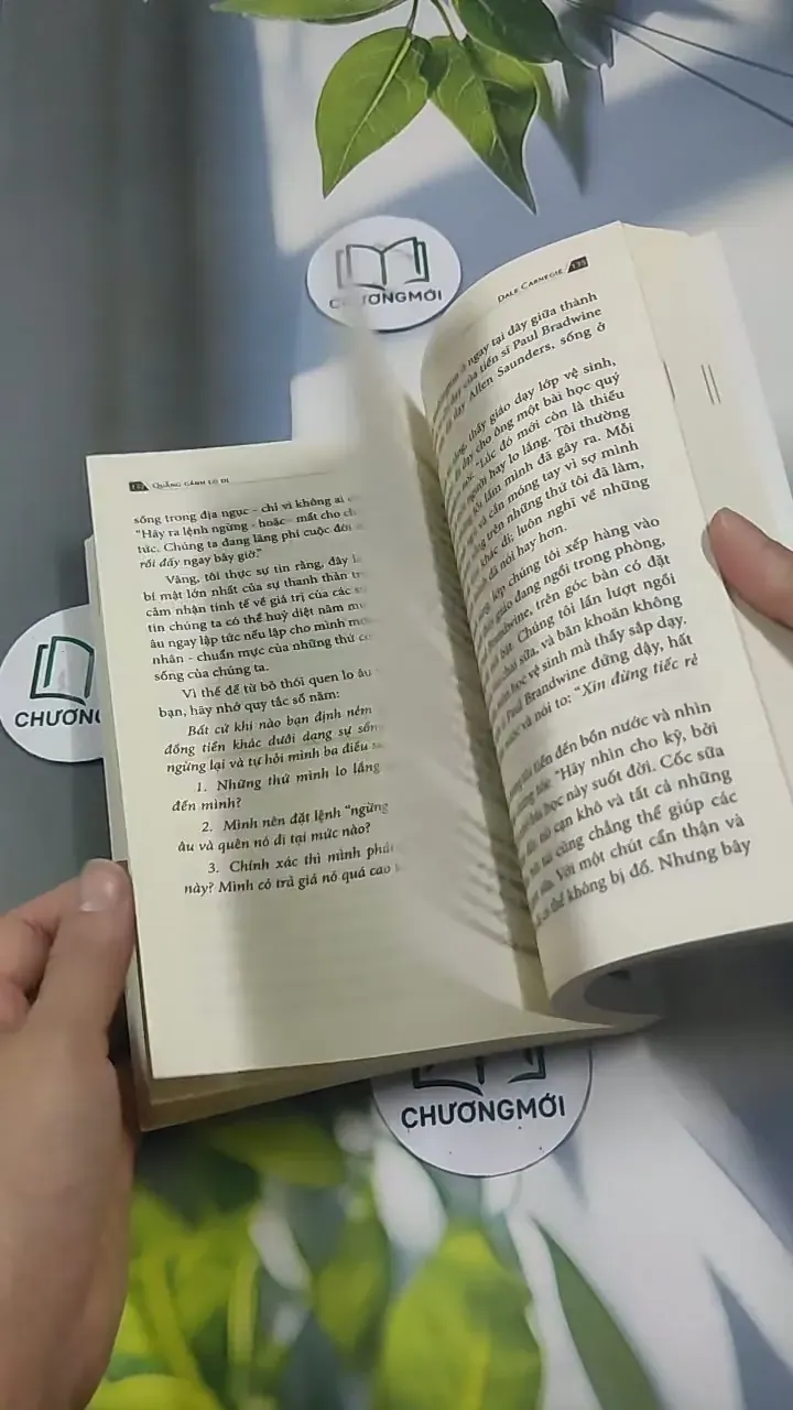 Quẳng Gánh Lo Đi Vui Sống Trong Mọi Hoàn Cảnh - Dale Carnegie 715602