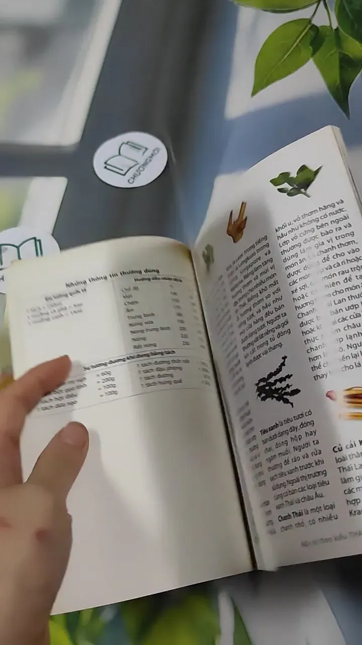 Combo Ẩm Thực:Thức Uống Làm Đẹp, 28 Món Bánh Ngon, Nấu Ăn Kiểu Thái Lan 727321