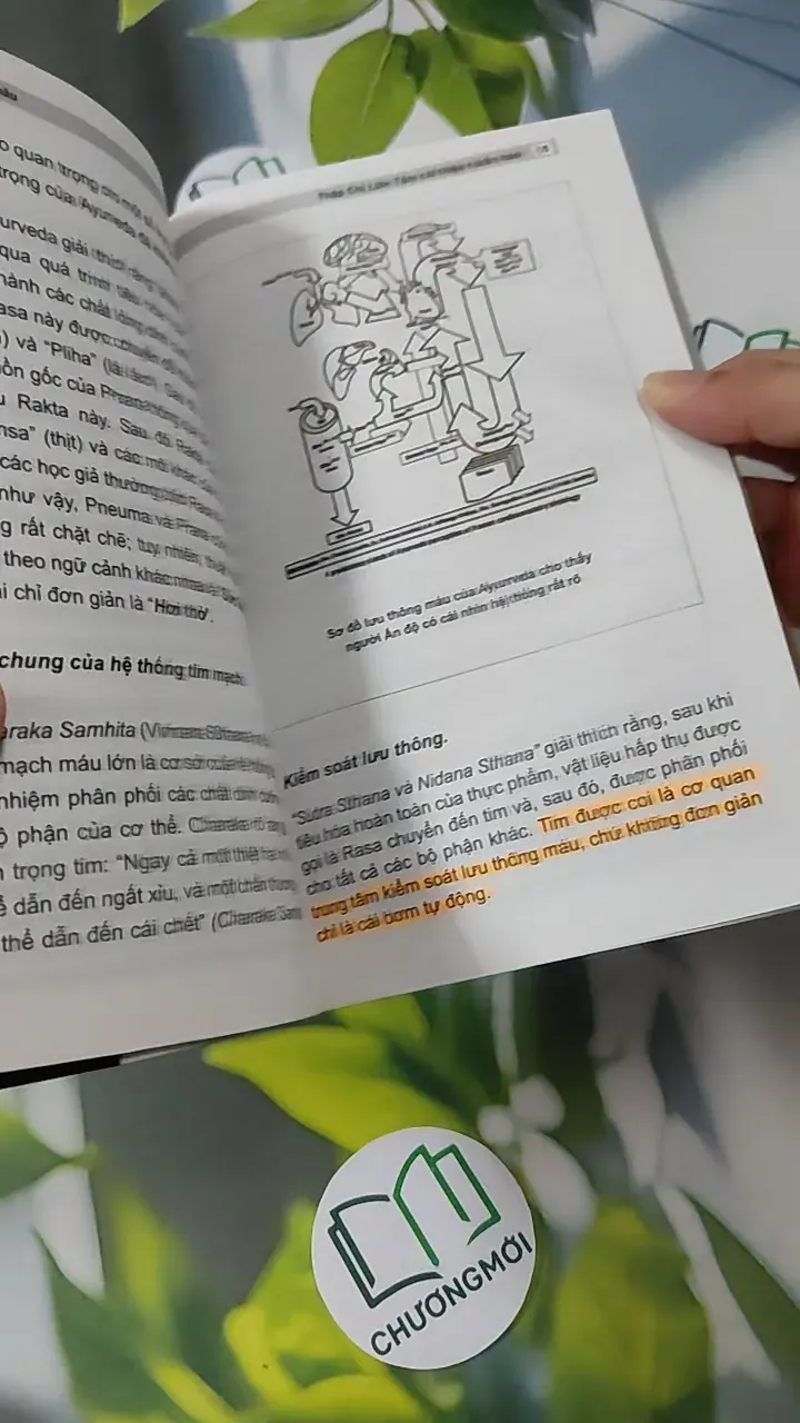 [MIỄN PHÍ BỌC SÁCH] Thập Chỉ Liên Tâm Cải Thiện Tuần Hoàn - Dư Quang Châu 780915