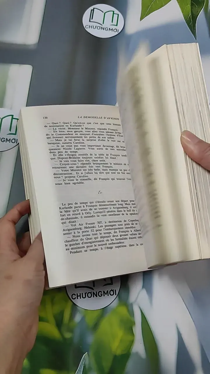 [MIỄN PHÍ BỌC SÁCH] [XƯA] La Demoiselle d'Avignon (1982) - Frédérique Hébrard & Louis Velle 754526