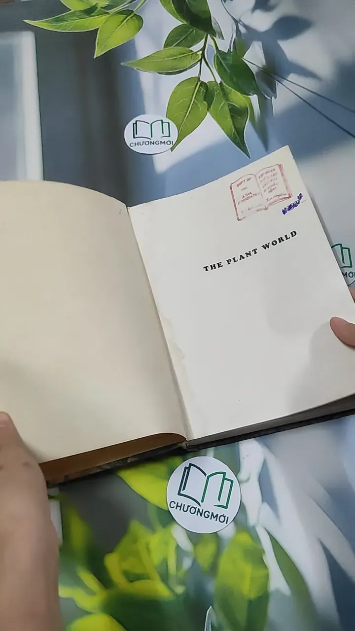 [MIỄN PHÍ BỌC SÁCH] The Plant World - Harry J. Fuller 750801