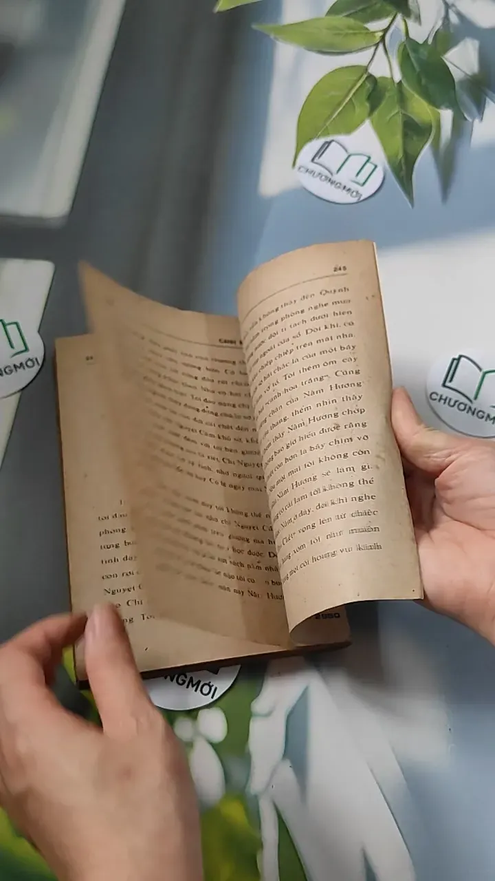 [XƯA] Cánh Bướm (1989) (Cánh Bướm) 776073