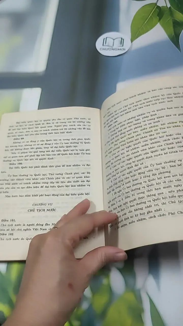 Tìm Hiểu Hiến Pháp Việt Nam - Phan Đình Khánh & Phạm Đức Bảo 727352