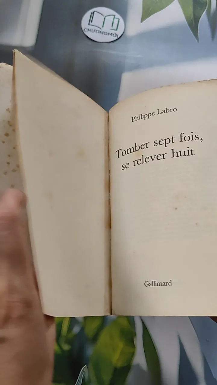 [MIỄN PHÍ BỌC SÁCH] Tomber sept fois, se relever huit - Philippe Labro 754471