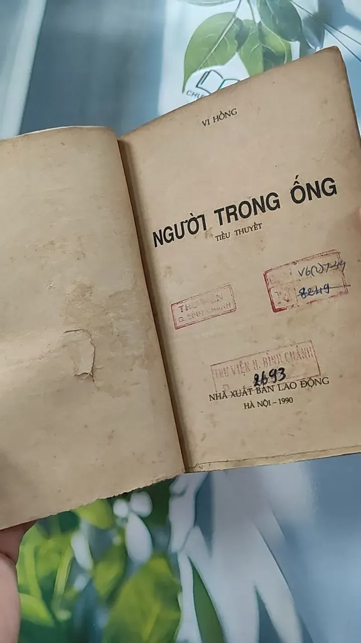 [XƯA] Người Trong Ống (1990) - Vi Hồng 776053