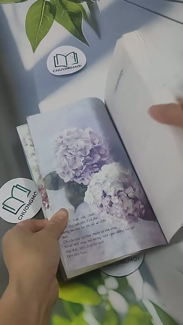 Sorry Sorry - Kim Quốc Đống 705548