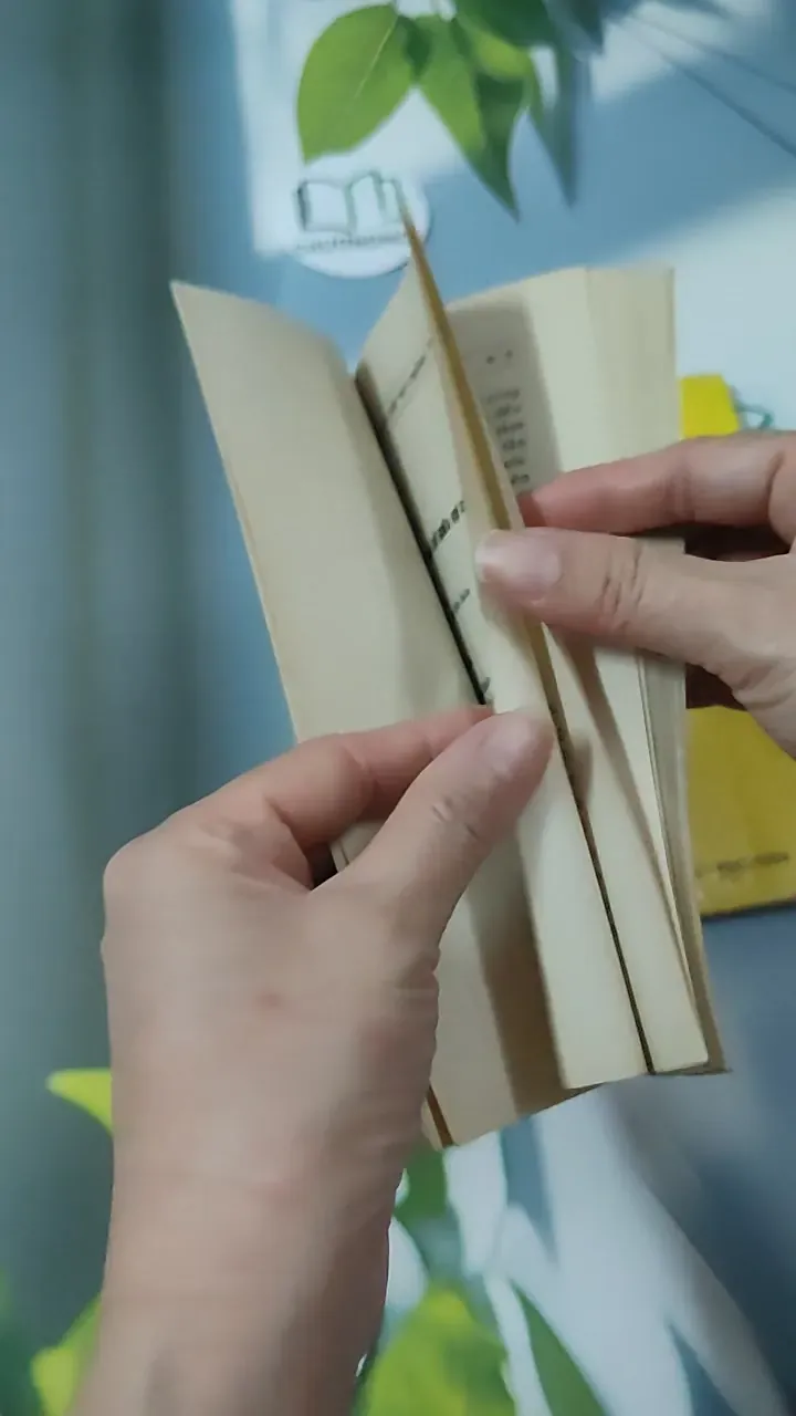 Combo Đời Sống Xã Hội Và Quan Hệ Vợ Chồng - Hoài Quỳnh & Trần Bồng Sơn 780844