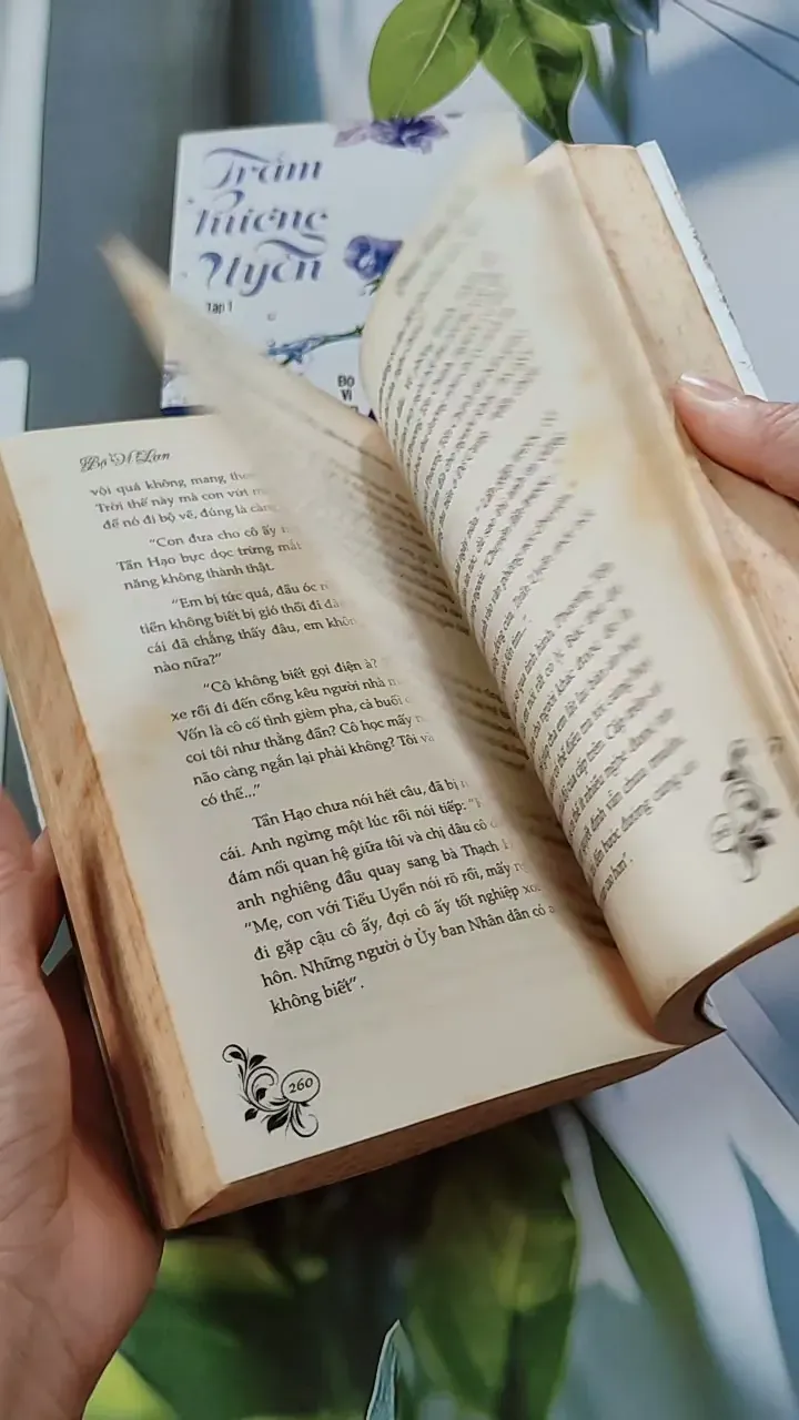 Bộ Trầm Hương Uyển - Bộ Vi Lan 744691