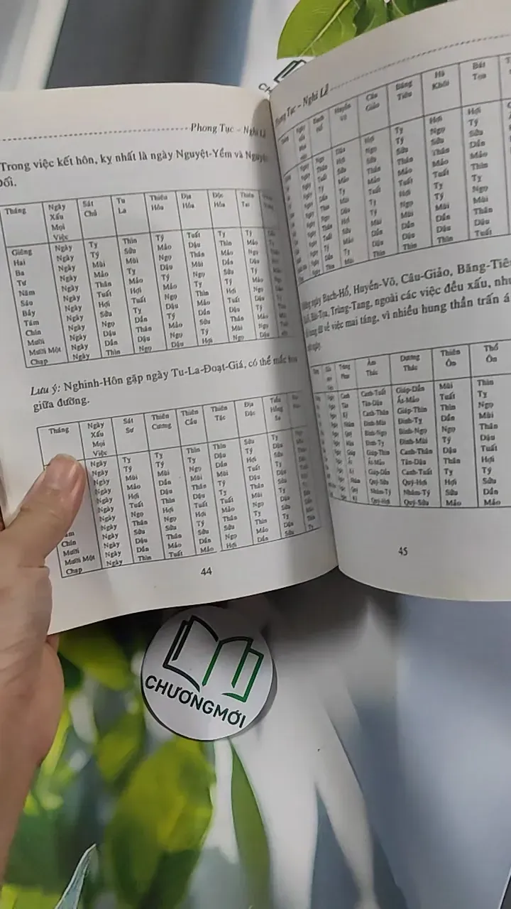 Phong Tục Nghi Lễ Thọ Mai Gia Lễ - Nguyên Quân - Hoàng Long 776189