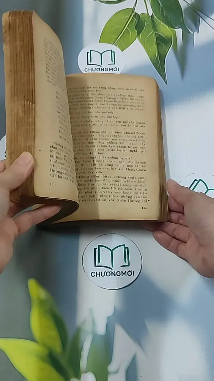 Nhận Thức và Thẩm Định (1983) - Đông Hoài 674969