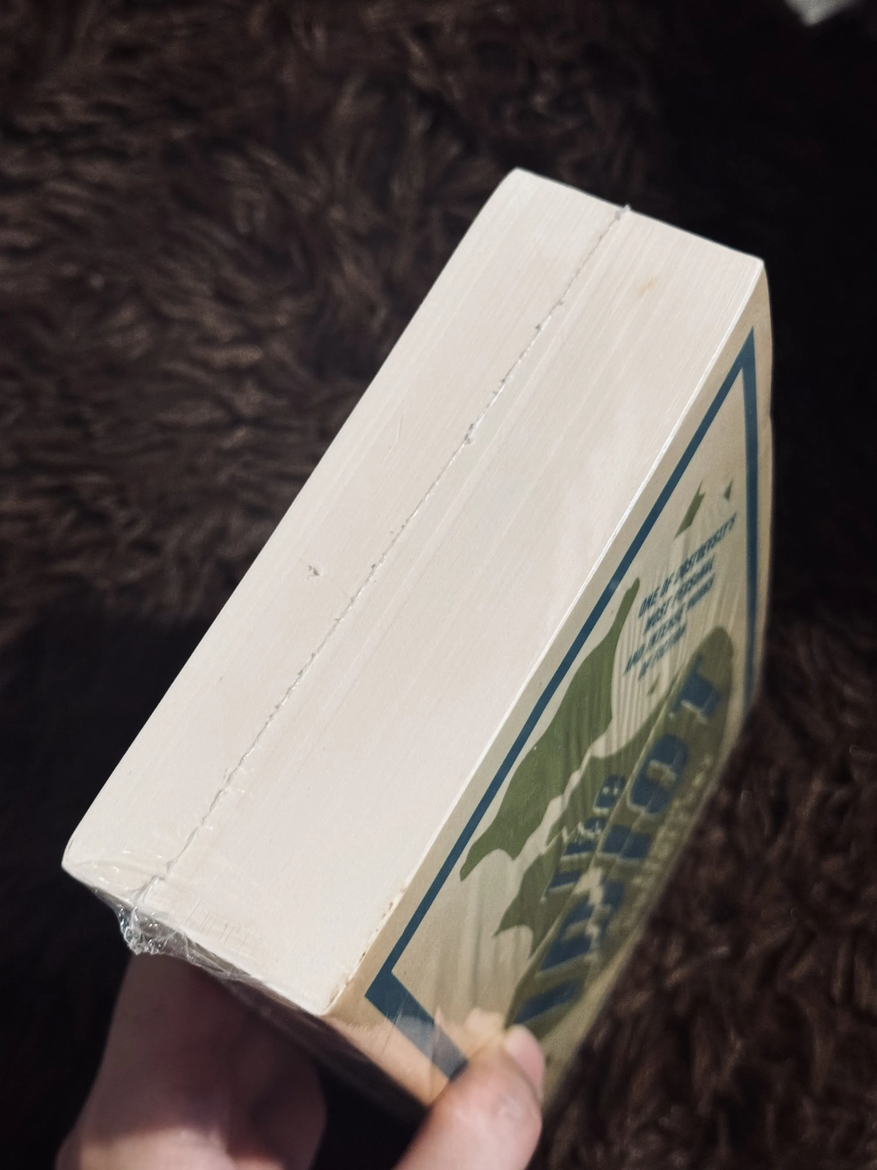 The Idiot - F. Dostoevsky (seal)  746740