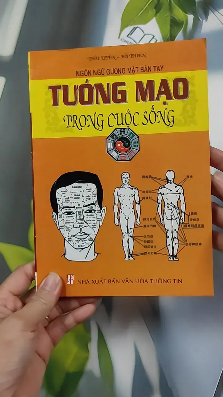 Tướng Mạo Trong Cuộc Sống - Thái Uyên & Hà Thiên 776128