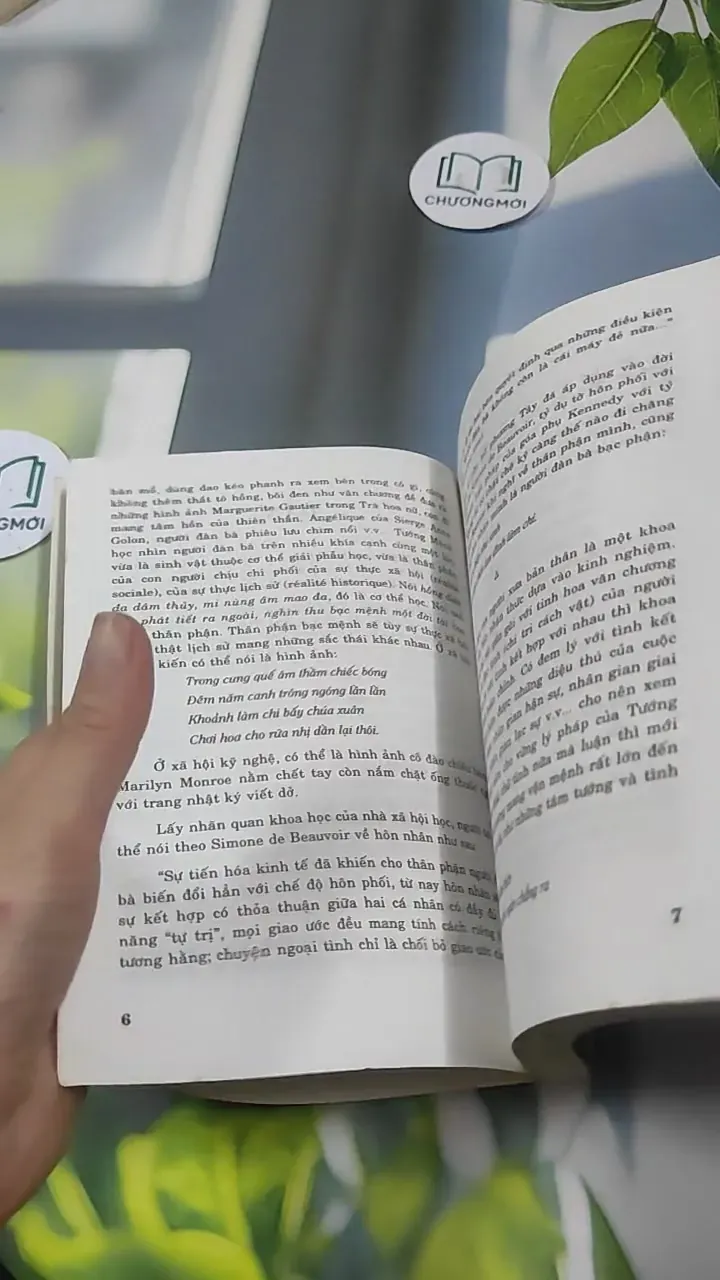 Người Đàn Bà Trong Tướng Mệnh - Lê Thành 727384