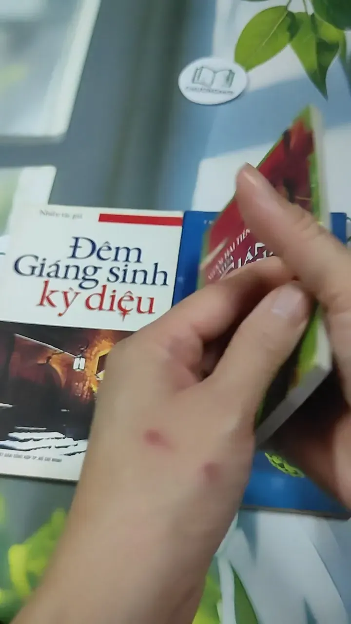 Combo Hạt Giống Tâm Hồn Quà Tặng Cuộc Sống: Giáng Sinh 727340