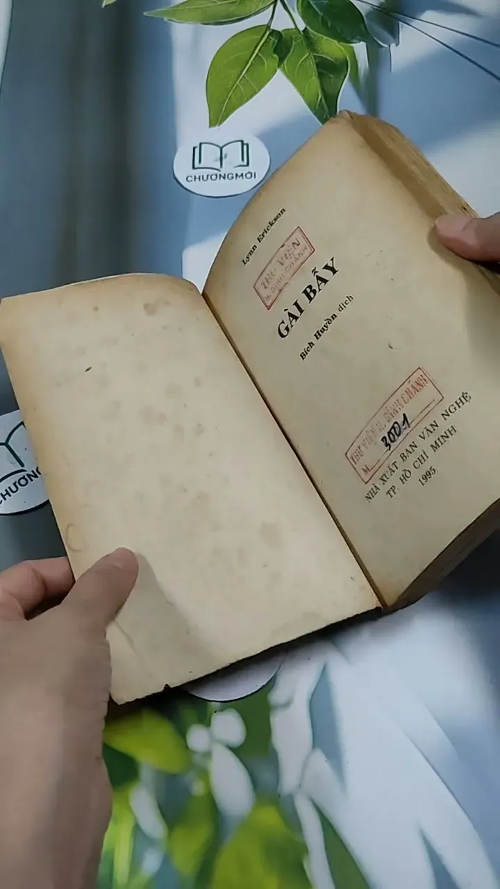 Gài Bẫy - Lynnerickson 713892