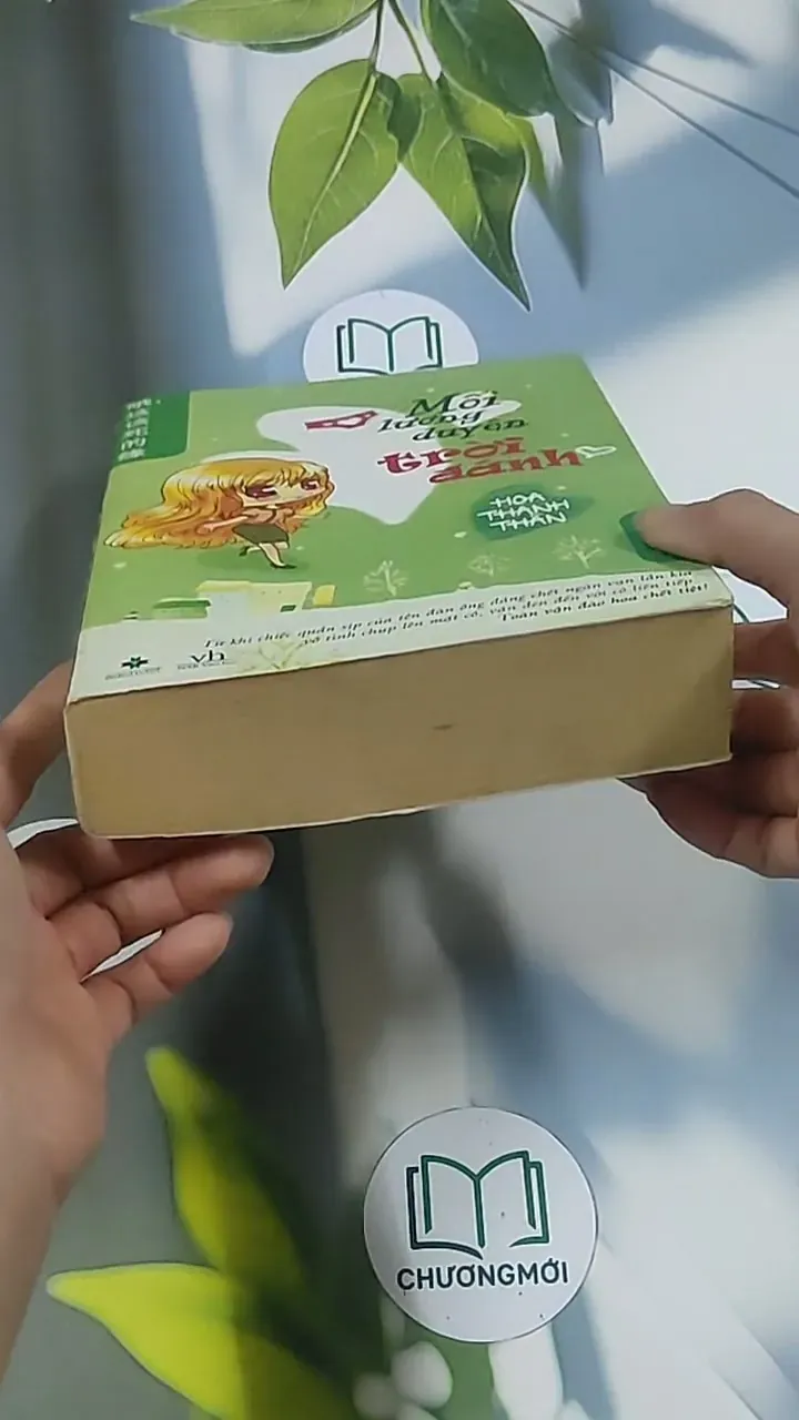 Mối lương duyên trời đánh - Hoa Thanh Thần 694961