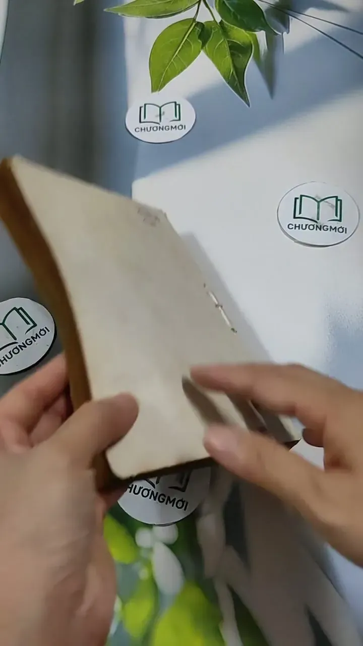 Tình Một Thoáng Còn Vương - Thụy Phương 713879