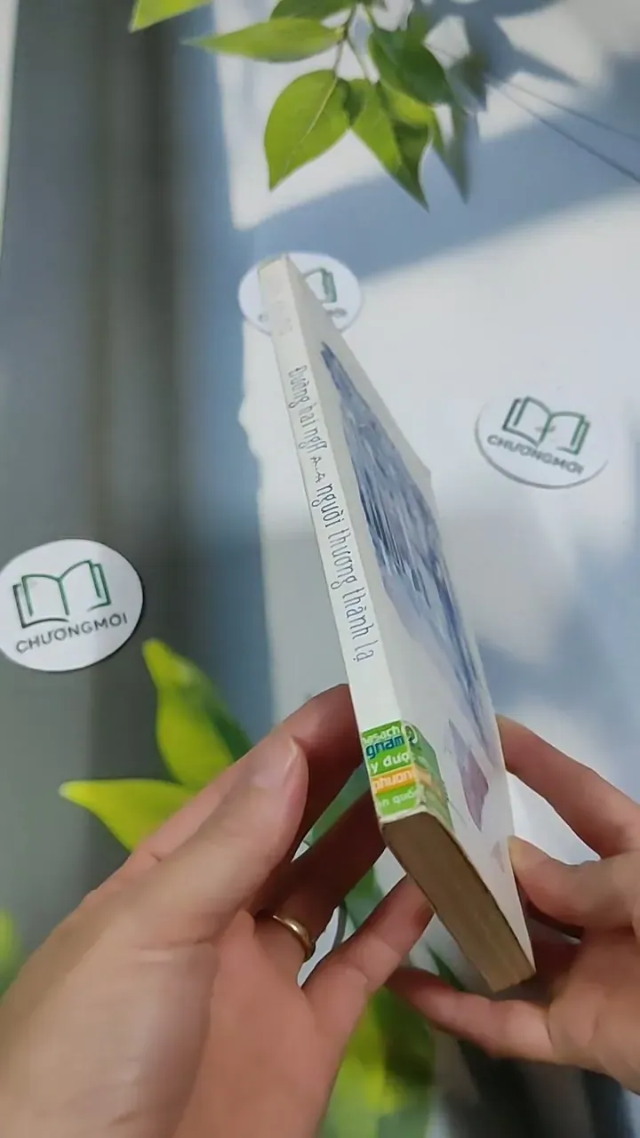 Đường Hai Ngã, Người Thương Thành Lạ - Anh Khang 705663