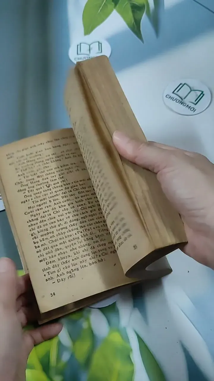 Mười Năm - tập văn chọn lọc 713848