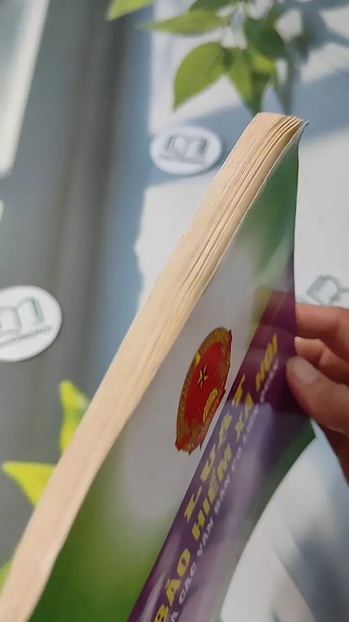 Luật Bảo Hiểm Xã Hội Và Các Văn Bản Có Liên Quan 727237