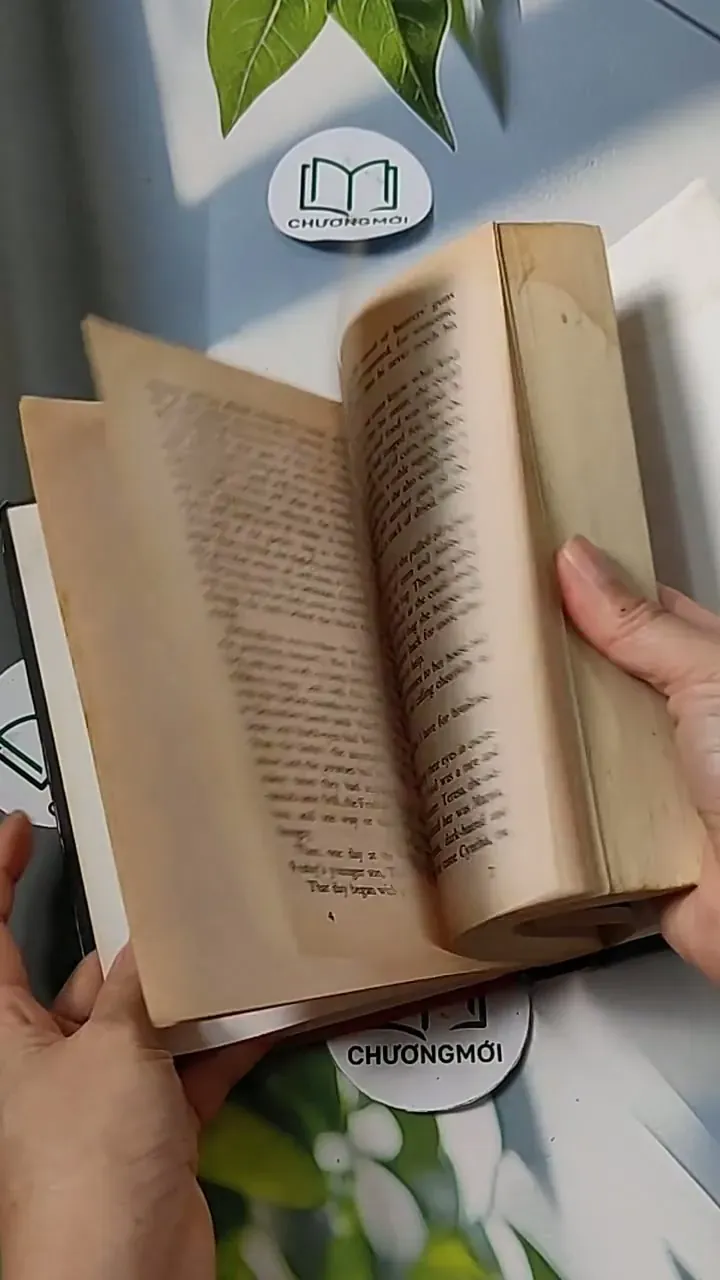 [MIỄN PHÍ BỌC SÁCH] Mrs. Frisby and the Rats of NIMH - Robert C. O'Brien 703091