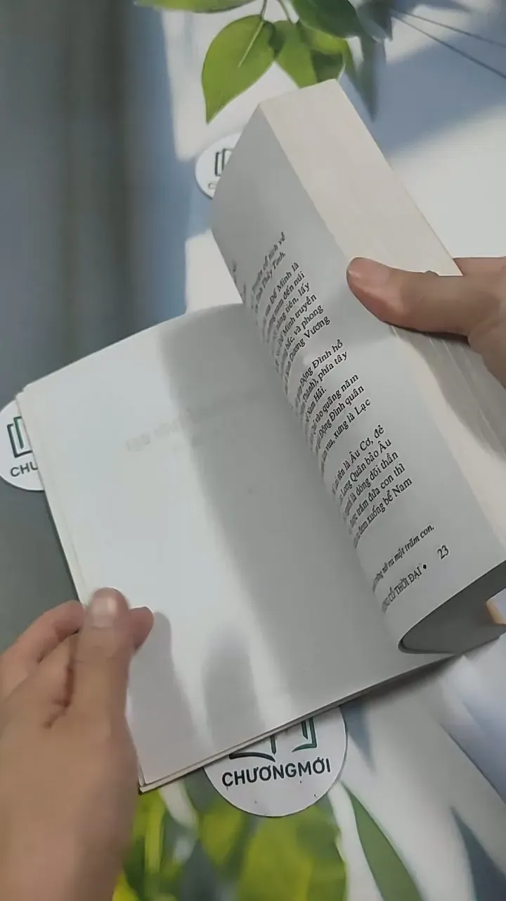 Việt Nam Sử Lược 715609