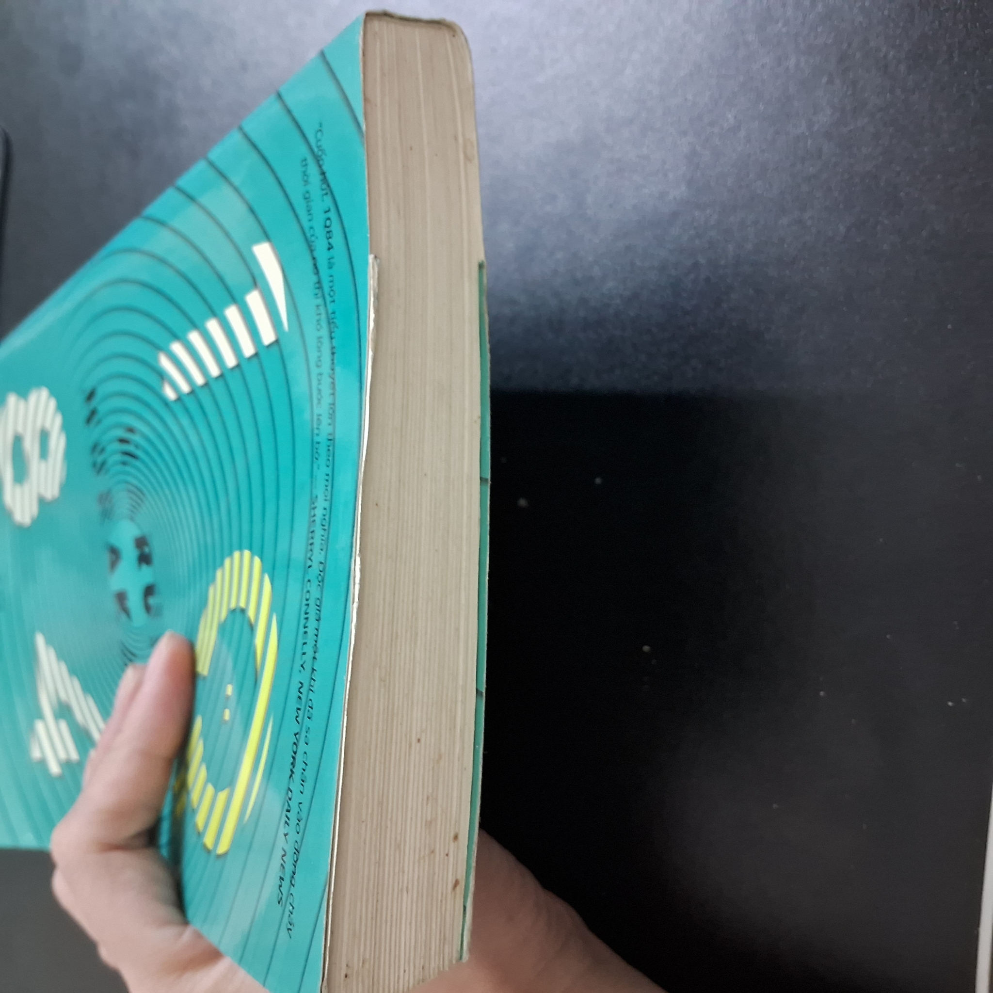 Sách 1Q84 tập 2 - Haruki Murakami 19357