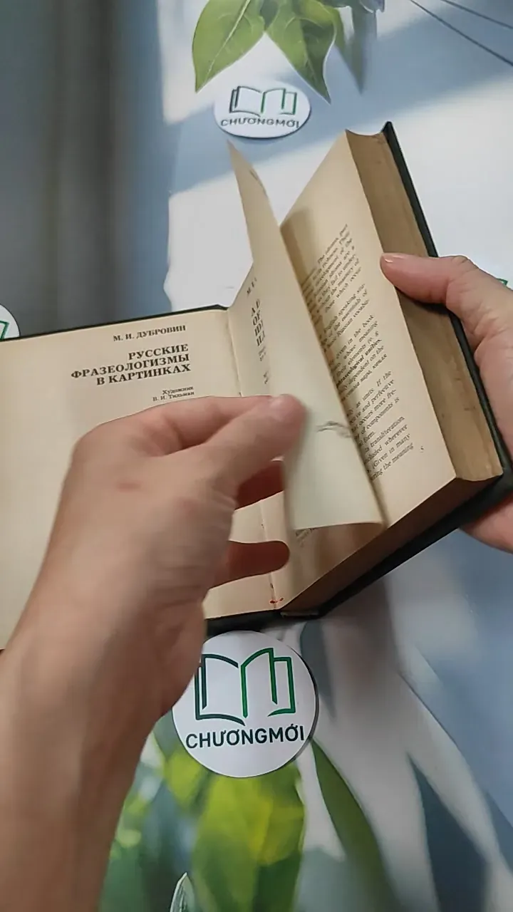 [MIỄN PHÍ BỌC SÁCH] A Book of Russian Idioms Illustrated - M.I. Dubrovin 749567