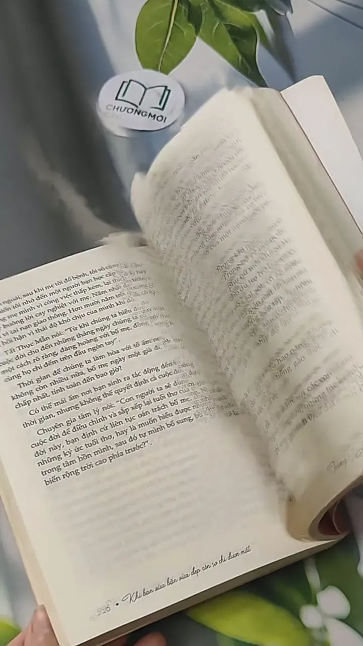 Khi Bạn Bận Vừa Xinh Đẹp, Còn Sợ Chi Được Mất - Lương Sảng 705609