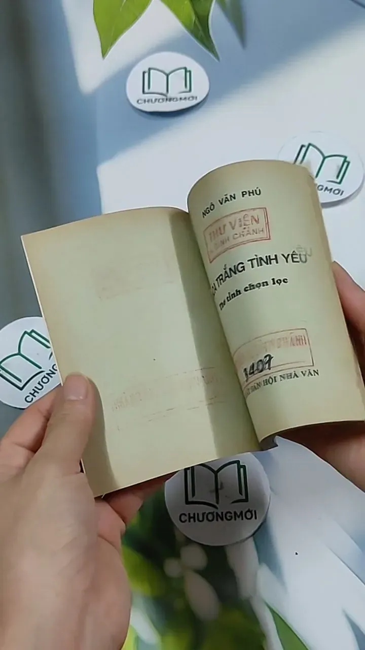 Hoa Trắng Tình Yêu - Ngô Văn Phú 703156