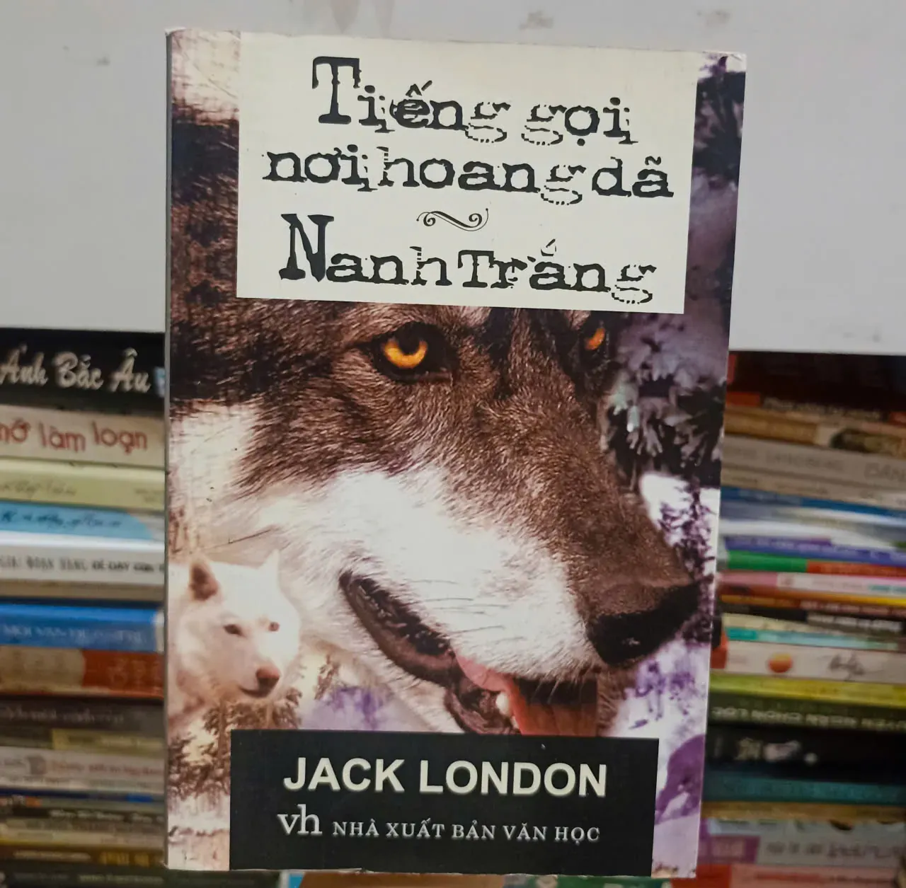 Tiếng gọi nơi hoang dã Nanh Trắng 🌻 by  - Sách Book Cover - Ngọc Hiển Books