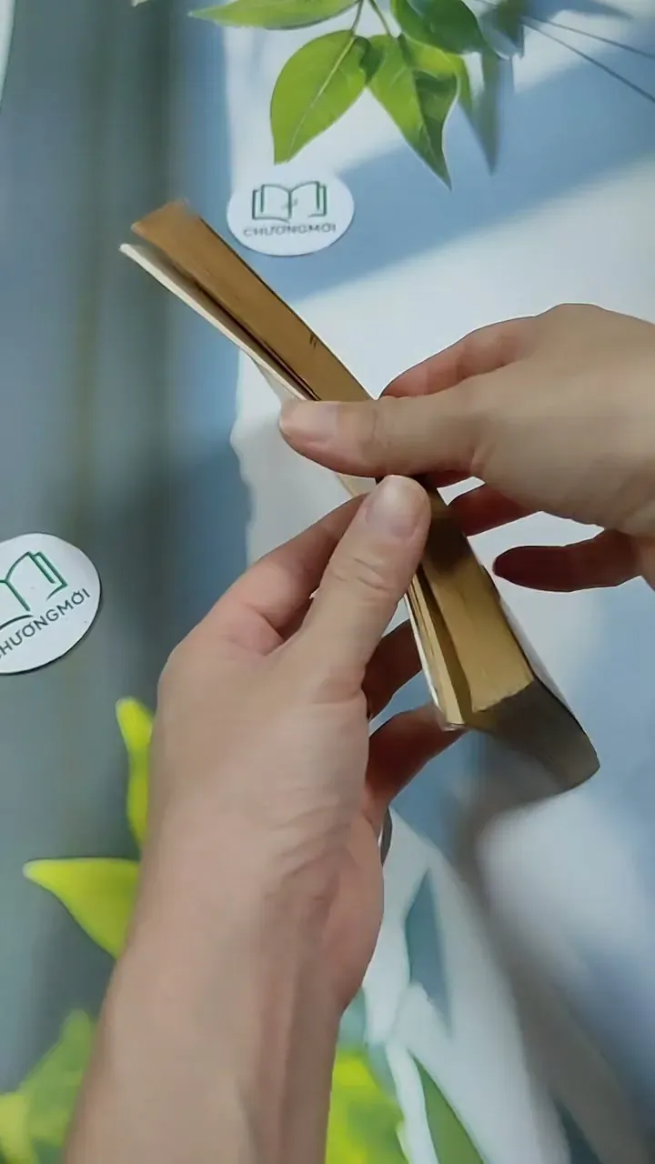 Người Đàn Bà Tuổi Bính Thân - Phạm Thị Minh Thư 713893