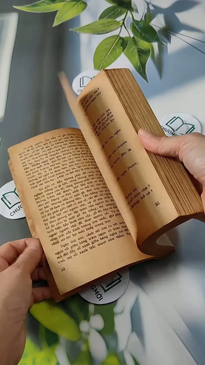 Tuyệt Mù Bóng Chim - Alan Paton 713811