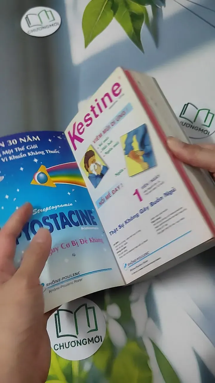 [MIỄN PHÍ BỌC SÁCH] Vidal Giúp Trí Nhớ 2000 780902