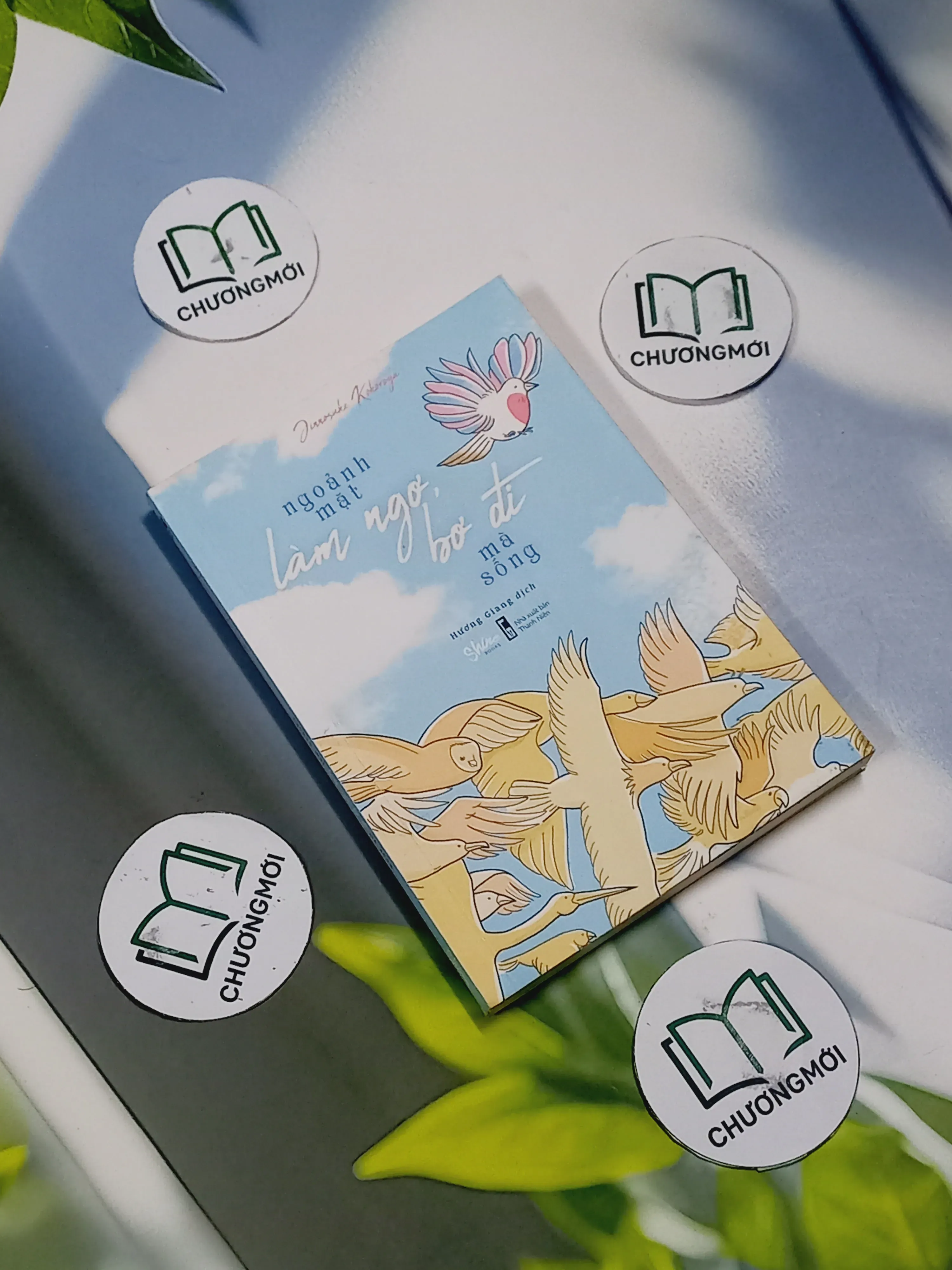 Ngoảnh Mặt Làm Ngơ, Bơ Đi Mà Sống - Jinnosuke Kokoroya