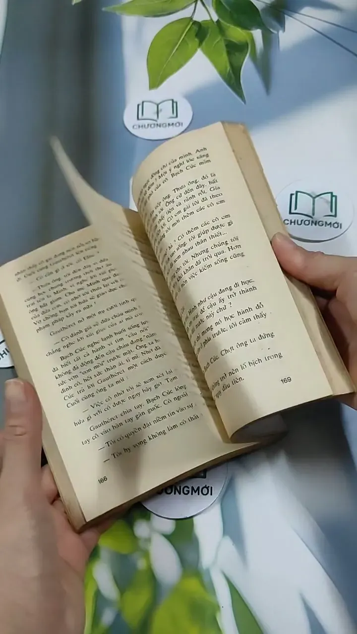 Người Đẹp Tây Đô (Tập 2) - Trầm Hương 713868