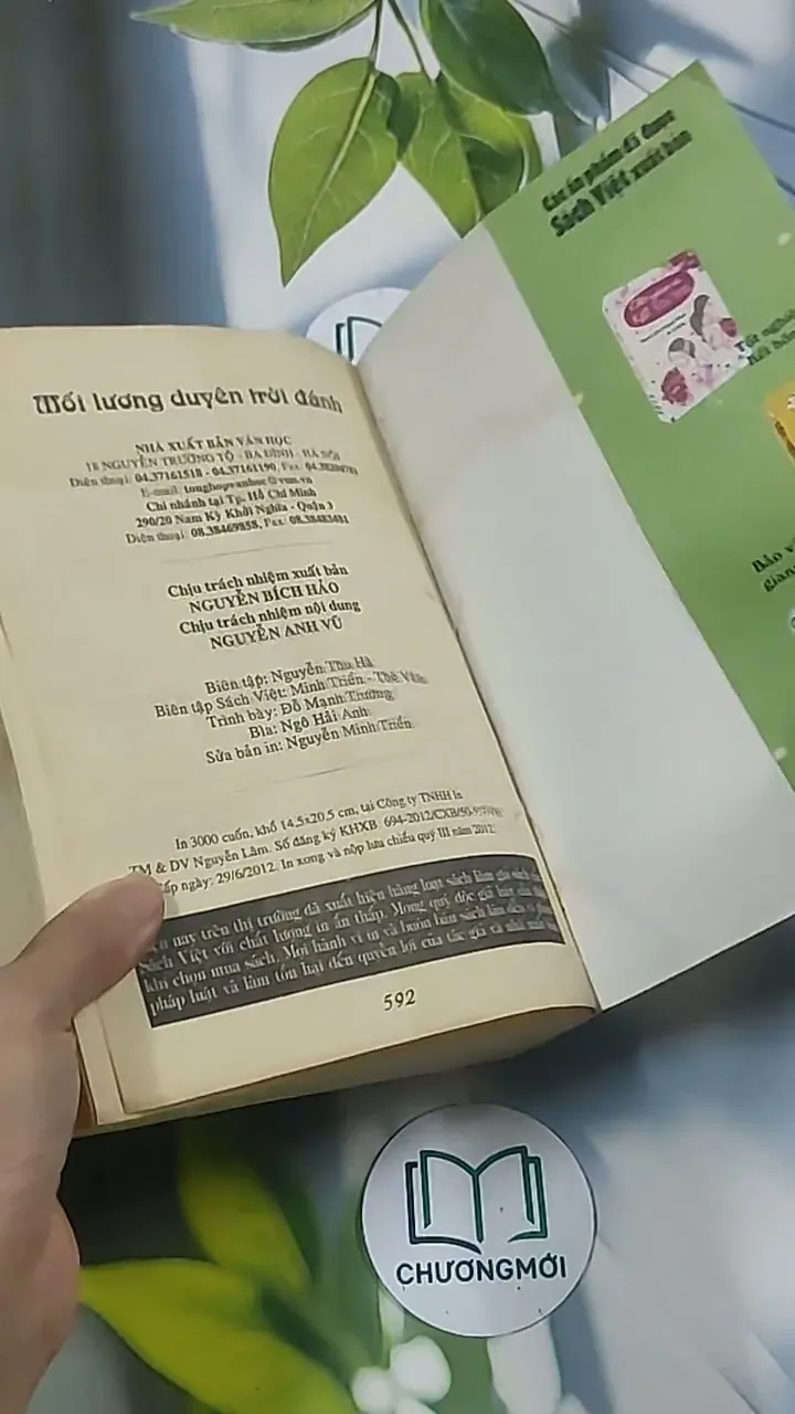 Mối lương duyên trời đánh - Hoa Thanh Thần 694961