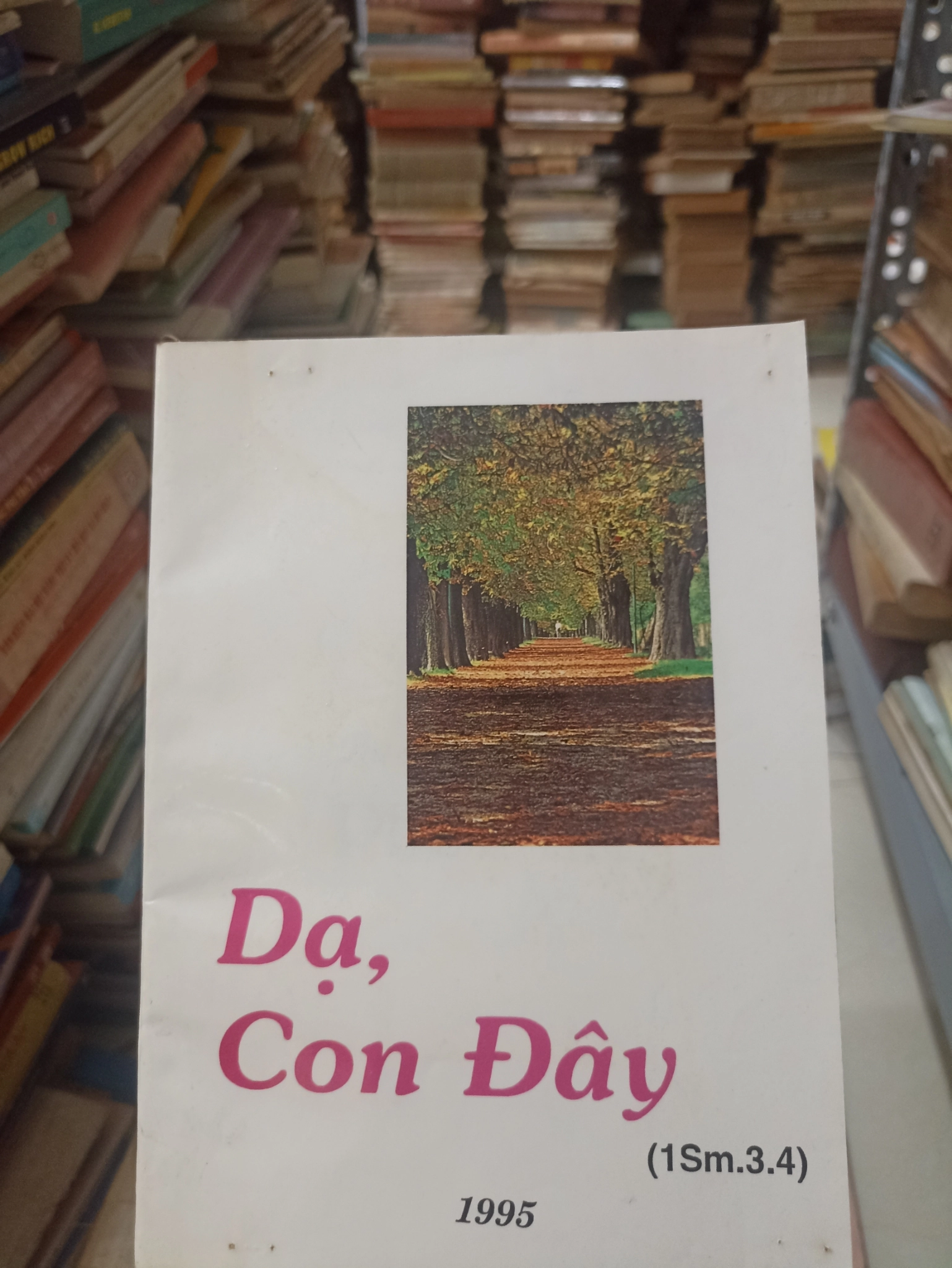 Dạ, Con Đây 🌻