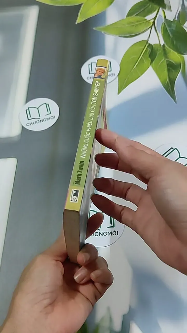 Những Cuộc Phiêu Lưu Của Tom Sawyer 604591